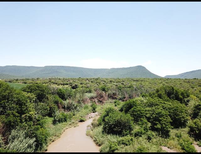 56HA FARM FOR SALE IN WEENEN